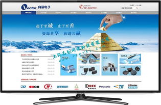 閔行網站建設與網絡開發 打造專業、高效的在線平臺